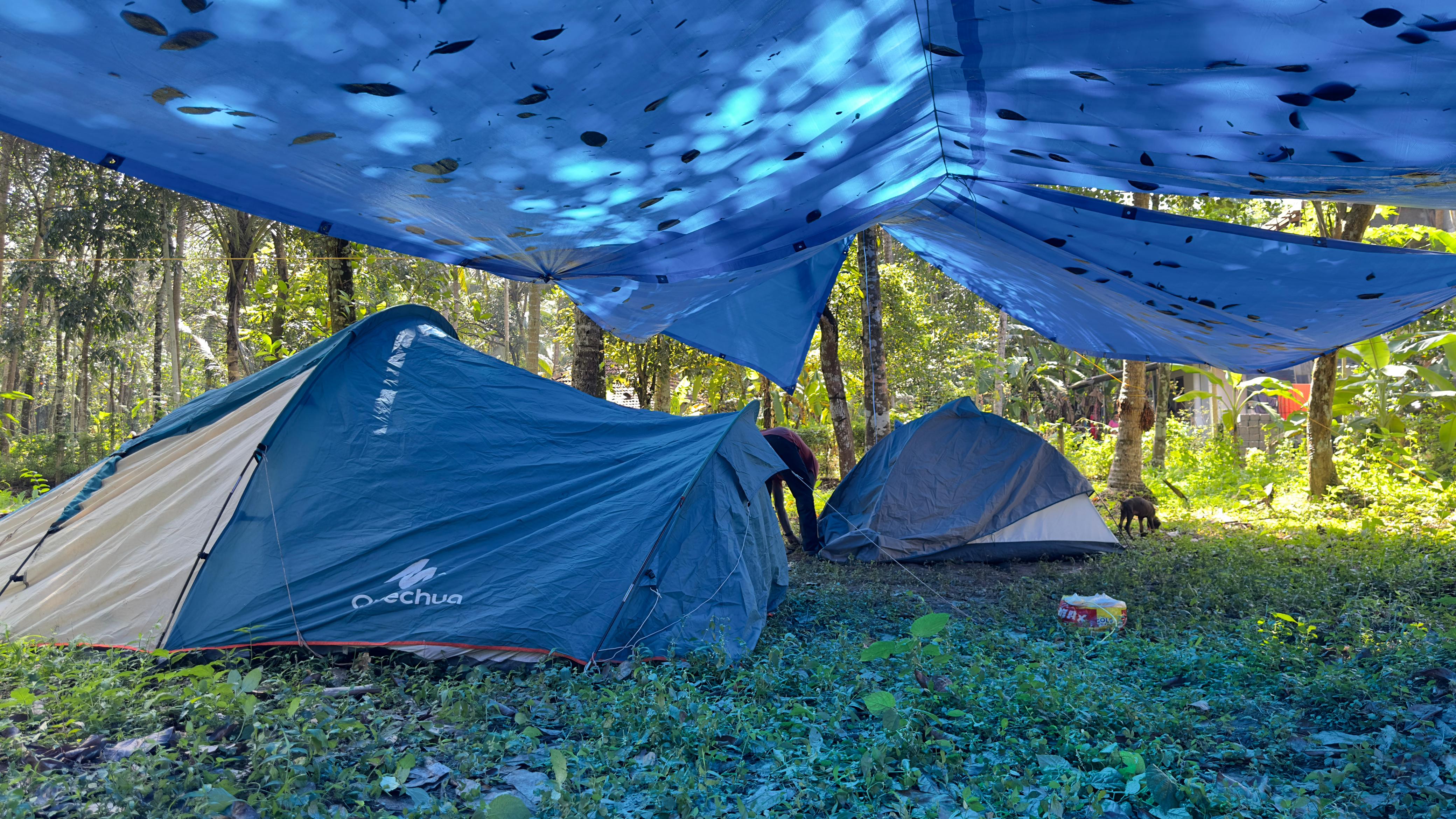 Nature Walk and River